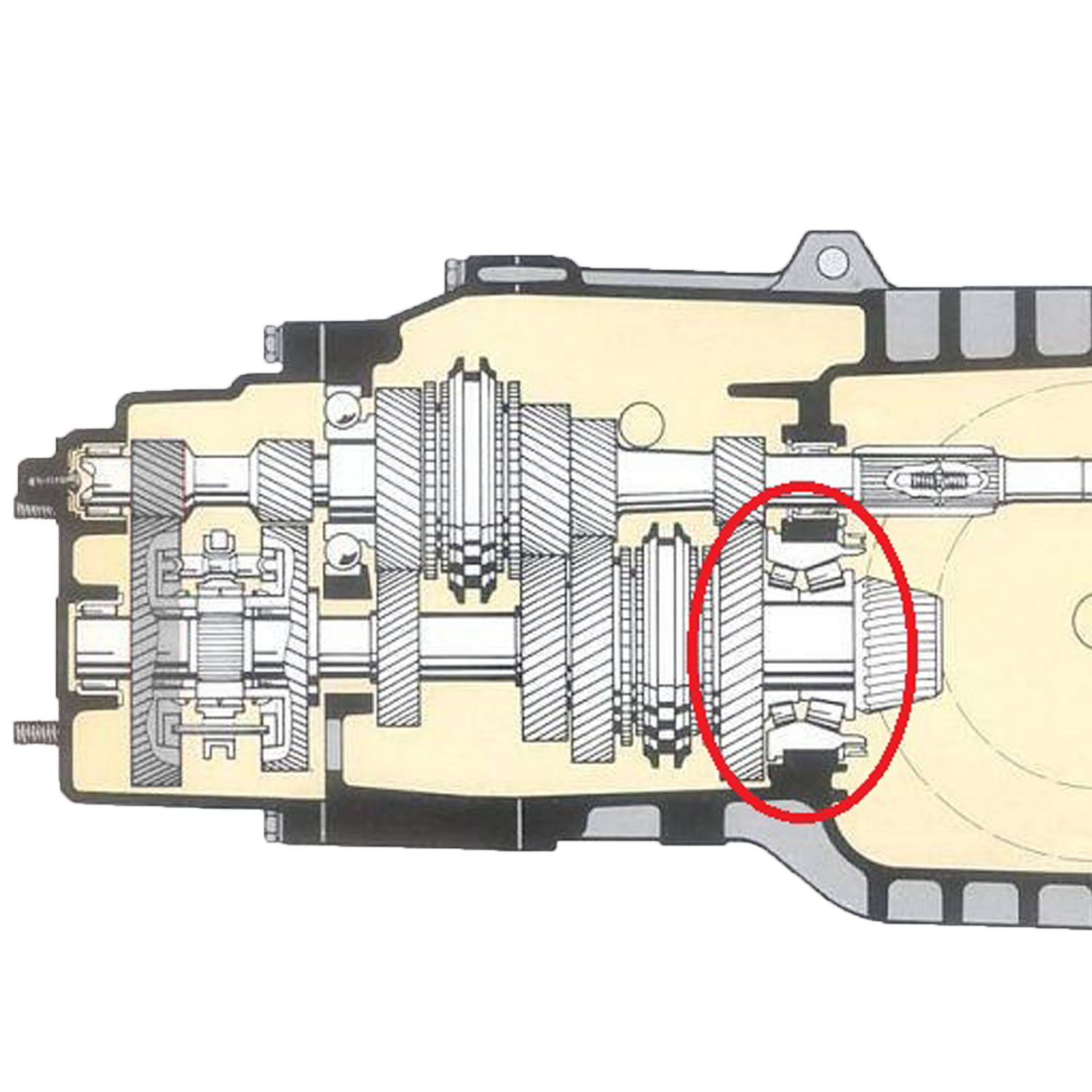 Double tapered roller bearing, differential shaft, Early (4-Bolt Style) 113 311 219A