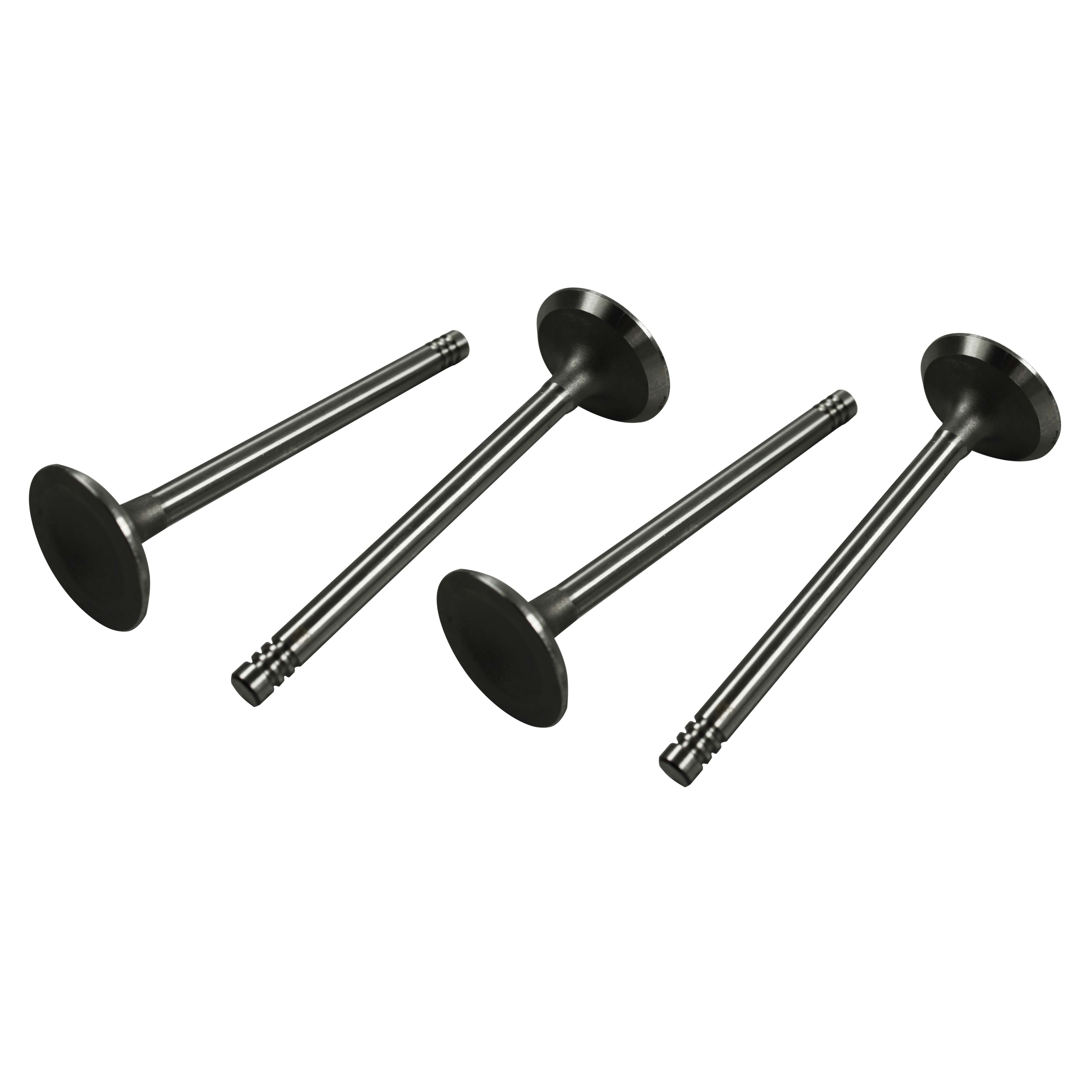 Intake valves 13-1600cc 311 109 601 (x4)