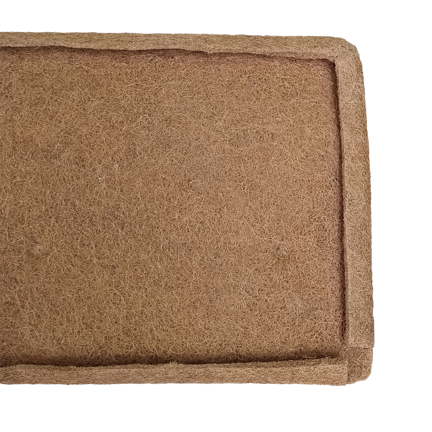 Seat padding backrest, rear 211 885 775B