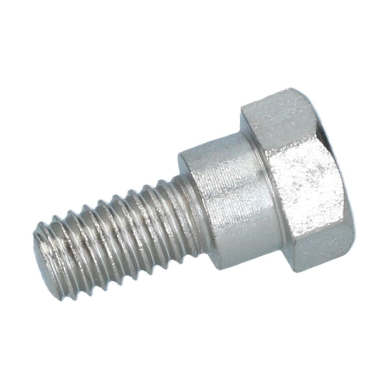 Parafuso do suporte da porta traseira 211 829 155